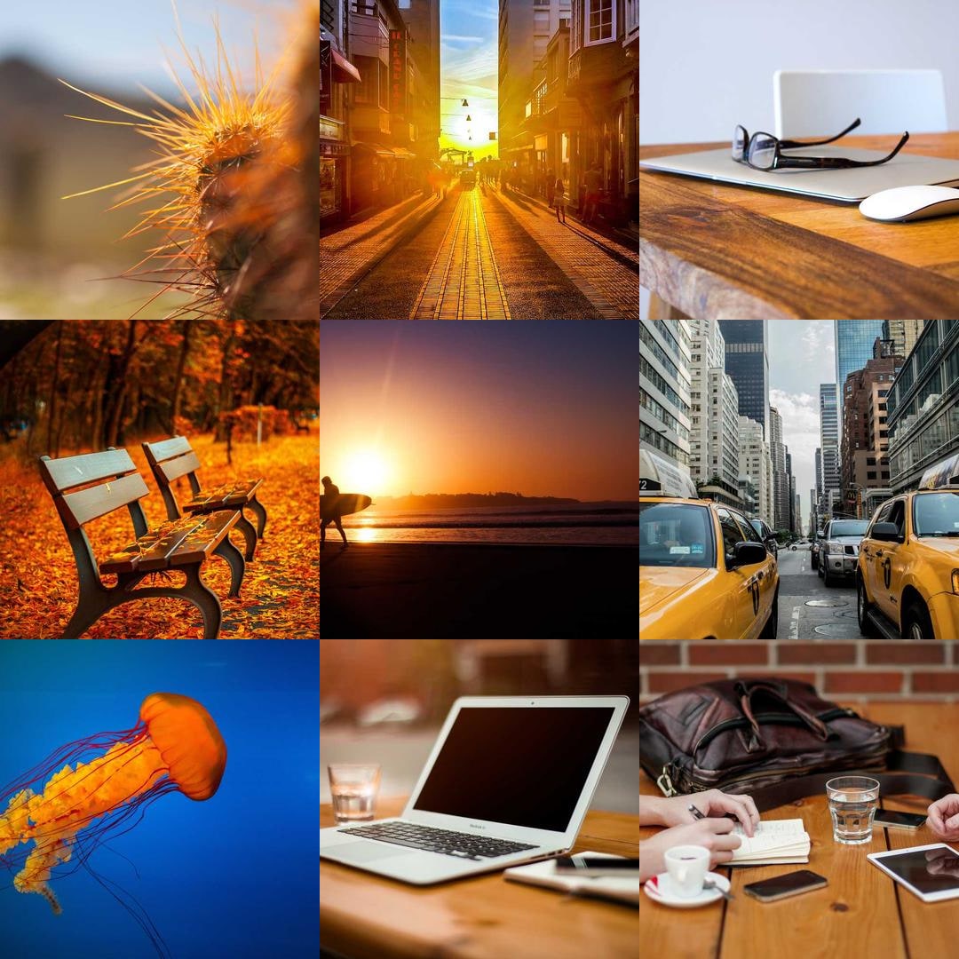 Nine photographs of ochre things arranged in a grid